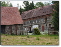 Obraz galerii