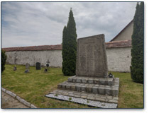 Obraz galerii